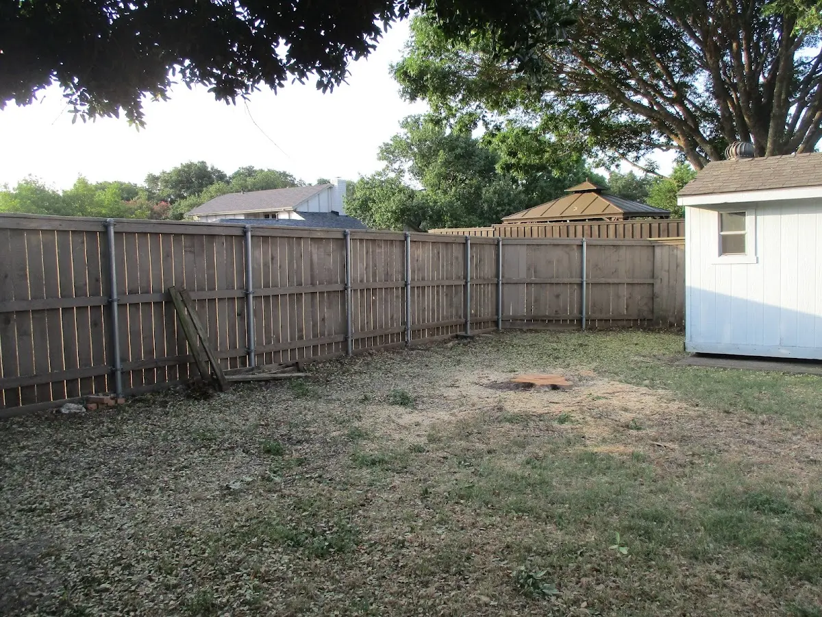 Cleared yard after professional tree removal in Lakota